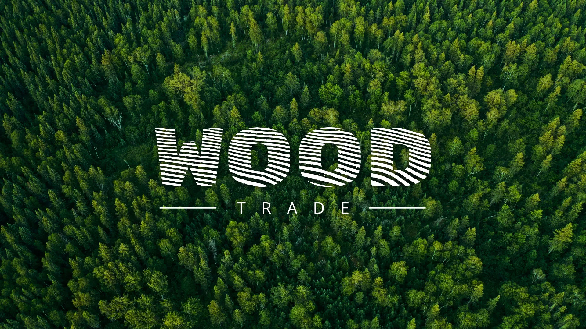 Разработка интернет-магазина компании «Wood Trade» в Дальнегорске
